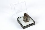 Goethite Pseudomorph after Pyrite Crystals - Utah #371938-1